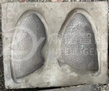 Medical PVC Human Body Educational Model Copper Mold Manufacturing