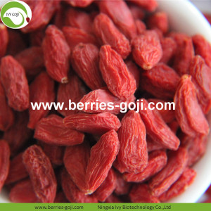Supply Wholesale Fruit Sweet Low Pesticide Goji Berries