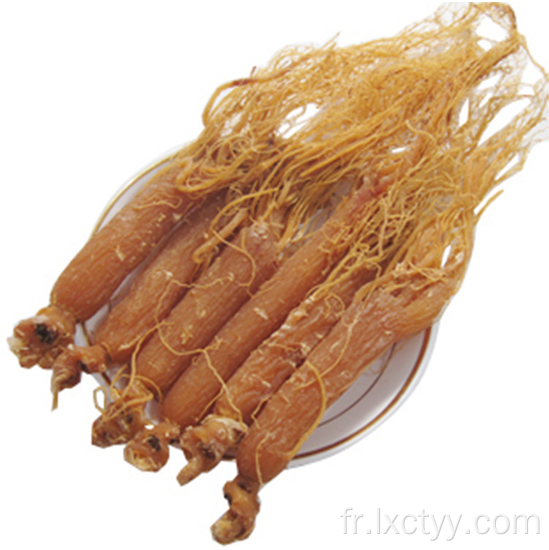 ginseng rouge coréen tranché au miel