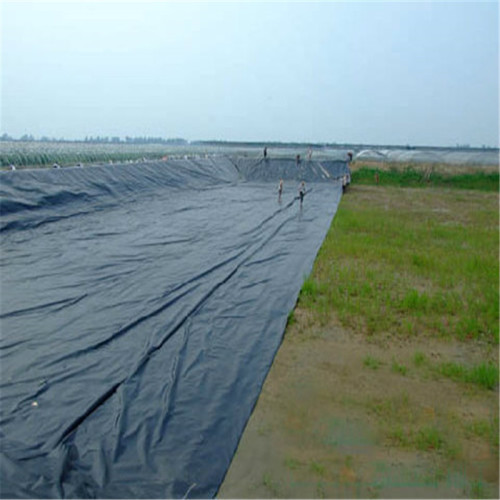 Liner HDPE Geomembrane for Aquaculture Pond 1.0mm