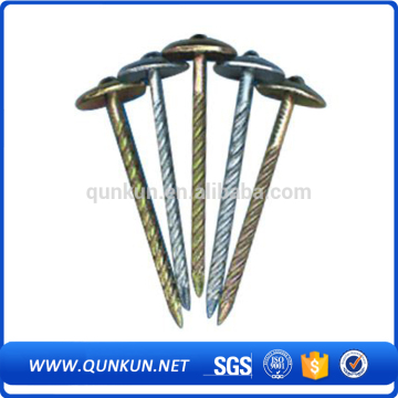 roofing nail with umbrella with rubber washer head for kenya                
                                    Quality Assured