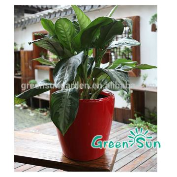 garden pots, plastic garden pots, small garden pots