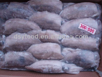 Frozen cuttlefish whole cleaned