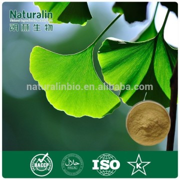 Pure natural Ginkgo biloba extract/Ginkgo biloba leaf extract 24:6