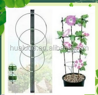 China Made Iron Tomato Cage with Best Quality and Price