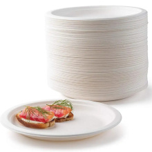 Sugarcane Bagasse Paper Plate Disposable Biodegradable Plate