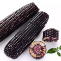 Black glutinous fresh corn