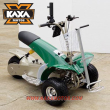 1000W Golf Buggy