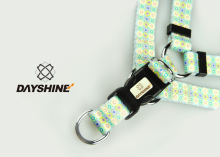 Stylish DIY Dog Collar