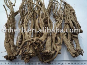 Echinacea Angustifolia root/Echinacea herb