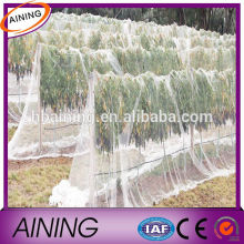 Protect bird netting/bird nets for sale/mist nylon bird net