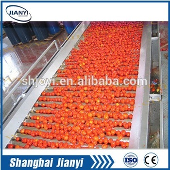 tomato washing machine/processing machine