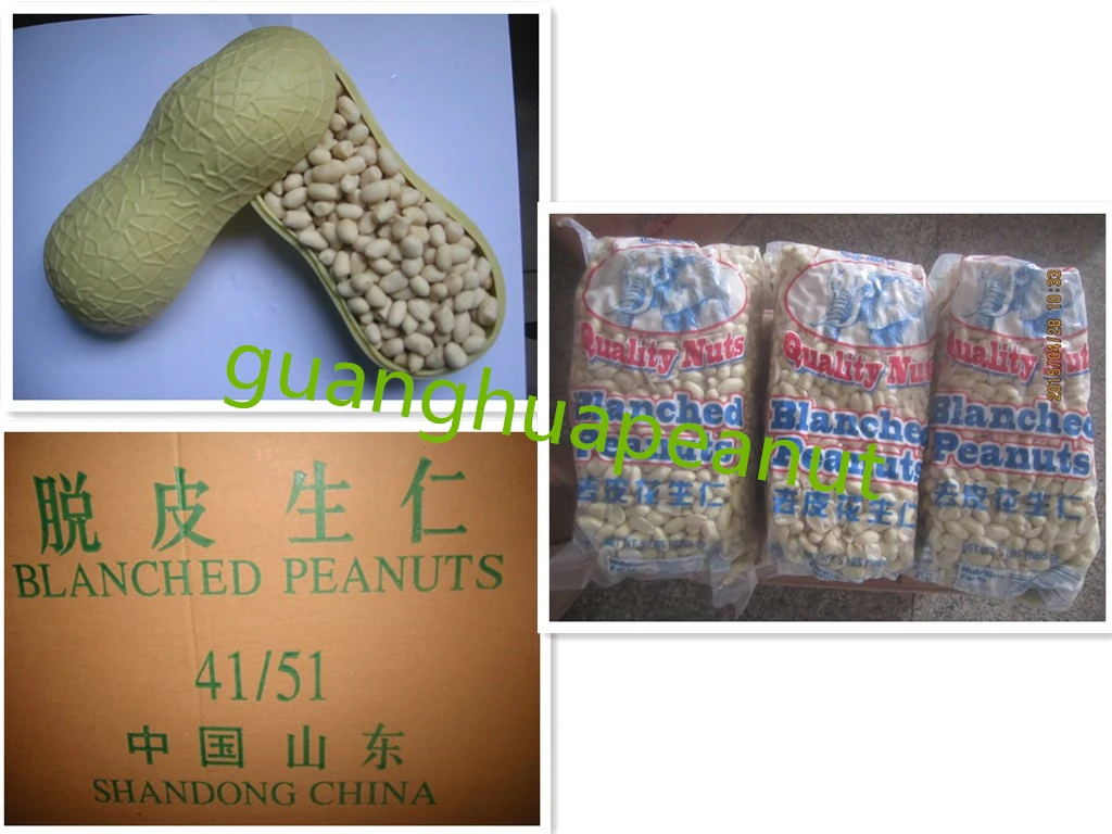 Hot Sale Blanched Peanut Kernel New Crop