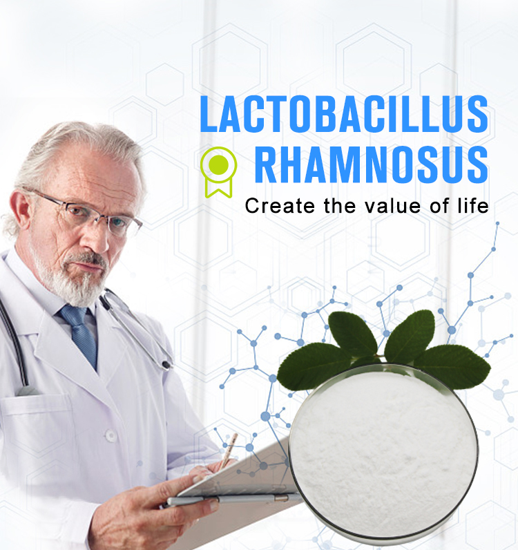 From China Health Supplement bulk powdered priotiotics lactobacillus rhamnosus