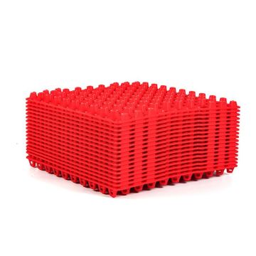 Plastic Quail Eggs Tray Pack for Transportation and Promotion