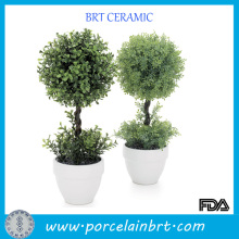 Wholesale Cheap White Ceramic Pot for Plants