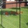 Black PVC Coated Chain Link Residential Fencing