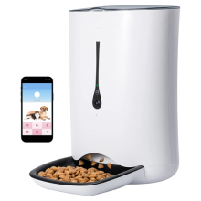 Pet cat feeder with video recording
