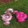 Flamingo Inflatable Coasters Pink Inflatable Drink Holders
