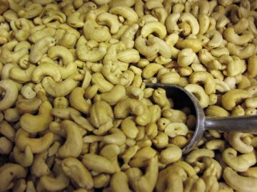 cashew nut