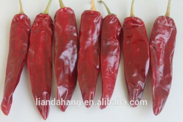 American Red Chile