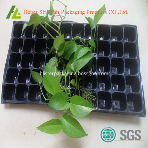 Nursery Seeding Tray Nursery Seeding Tray
