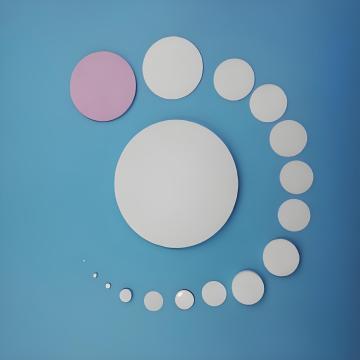 95%Alumina Disc For Ultrasonic Piezoelectric Ceramic Disc