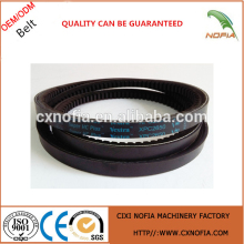 Conveyor raw edge cogged v-belt