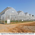 Single Span Plastic Film Greenhouse For Plant