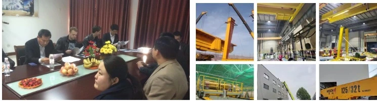 Customized Design 50/10 Ton Qy Type Traveling Double Girder Insulation Overhead Crane