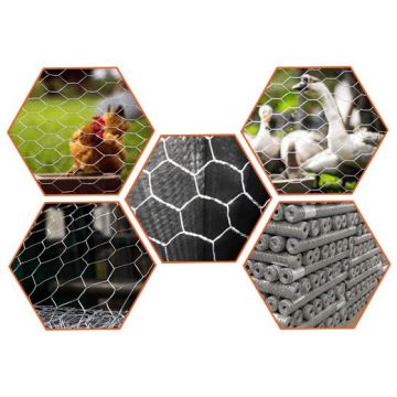 Galvanized Gabion Box Hexagonal Gabion Iron Wire Mesh