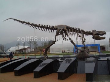 2014 Hot sale fiberglass dinosaur model dinosaur skeleton for museum