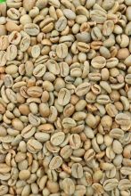 Hali Bourbon Green Beans