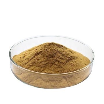 Organic Ginger Root Extract Ginger Extract Powder