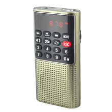 L-328 Ultra Mini FM Radio with TF Card Recording and LED Display