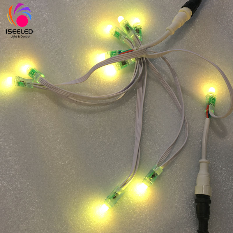 WS2811 Lumină de vacanță 12mm RGB Pixel Light String