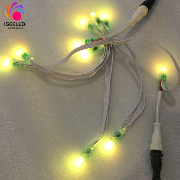 WS2811 Holiday Light 12MM RGB Pixel Light String