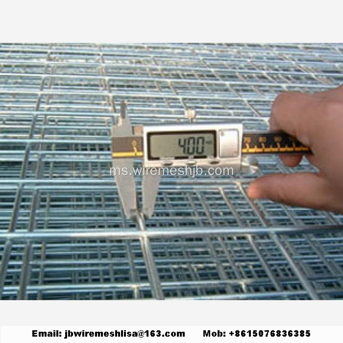 Wire Mesh Galvanized Wire Hot-dip Panel