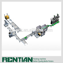 Automated Small Bag packaging solution for salt packing