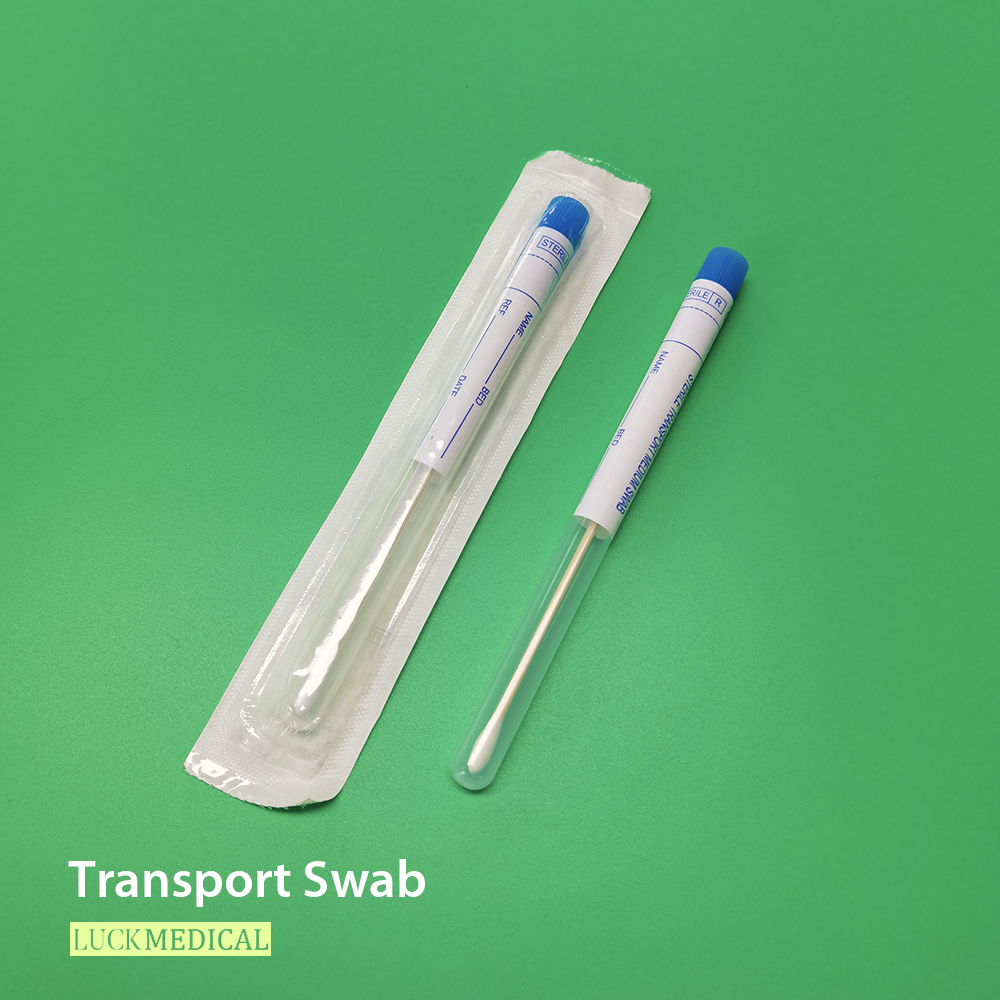 Swab da cultura bacteriana oral no tubo