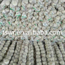 CHINA GARLIC 2020 FRESH NORMAL WHITE GARLIC WHOLESALE