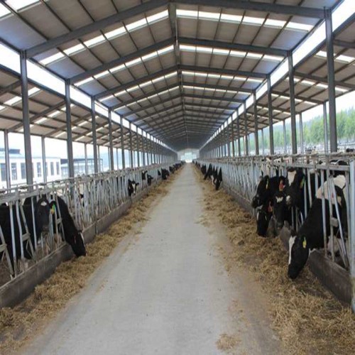 Hayvancılık için metal yapı prefabrik kümes hayvanları evi