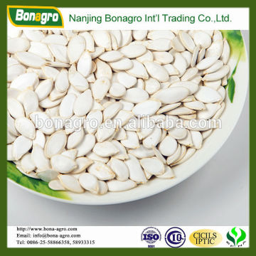 snow white pumpkin seeds