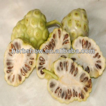 High Quality Noni Seeds For cultivating
