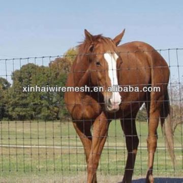 Electric horse fence/Horse fence