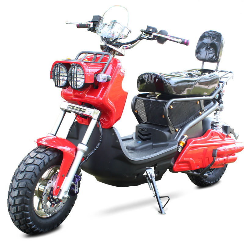 classic model electric scooter