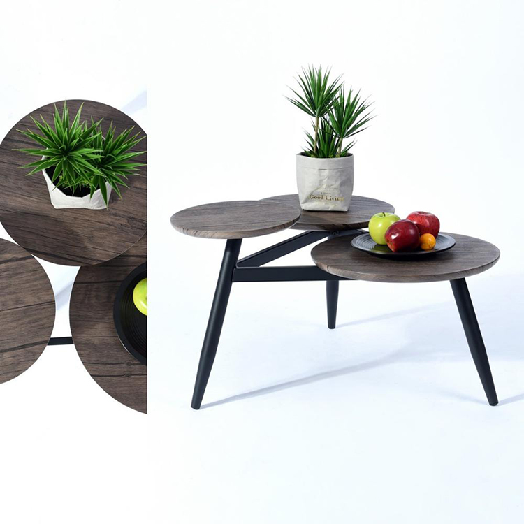 Coffee Table (2)