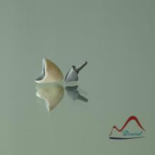 Dental NP Post and Core Crown