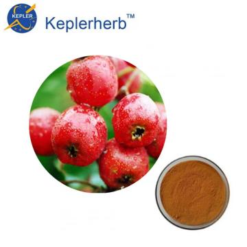 Hawthorn Extract Massenverkauf