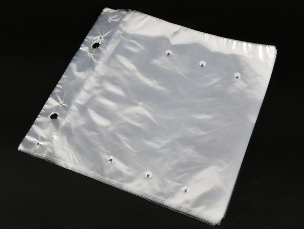 Printed Custom Wholesale LDPE Transparent Plastic Bag Food Packaging with ISO9001 Approval